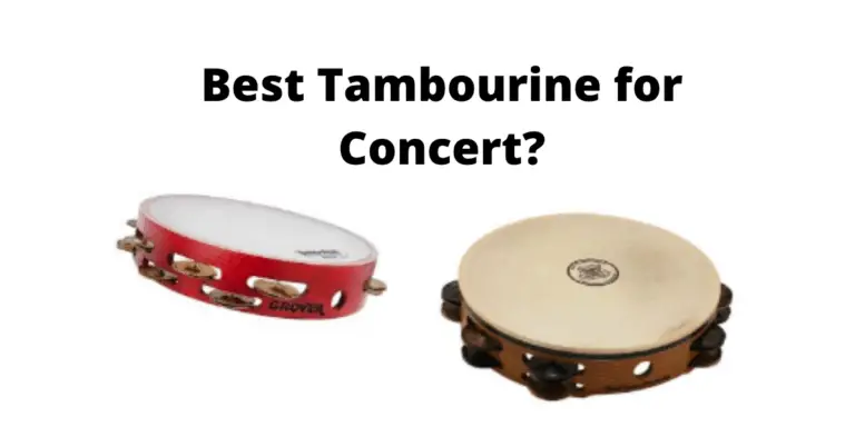 Best Tambourine For Concert (Checklist and Considerations)