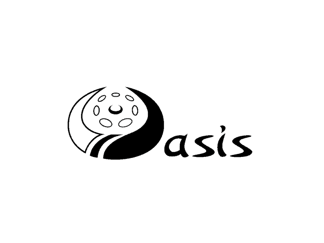 Oasis Sound Sculture 432hz handpans