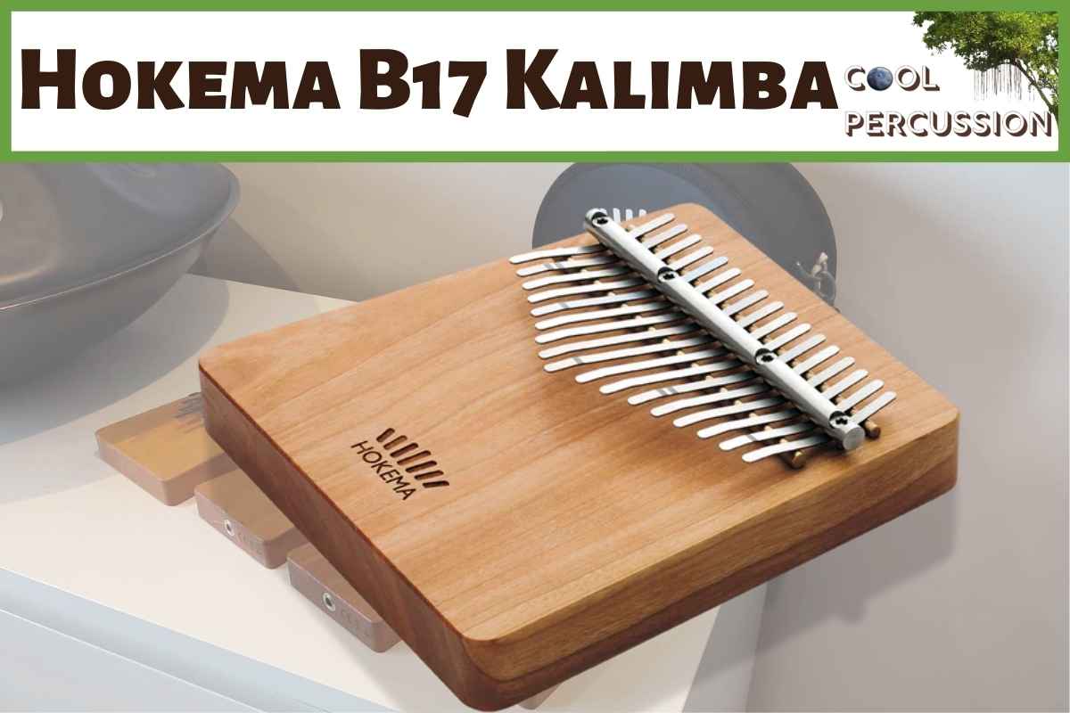 HOKEMA Kalimba B17後からのシミではありません